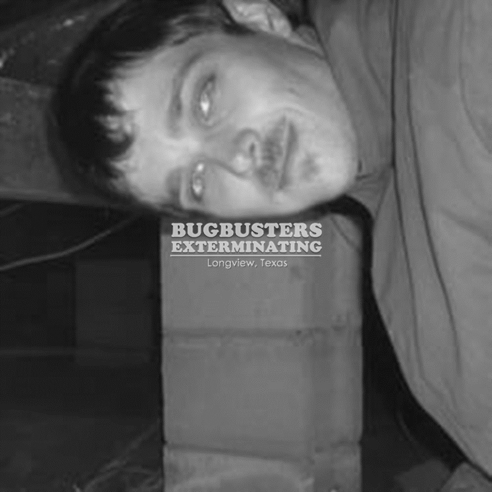 "BUGBUSTERS IN ACTION"