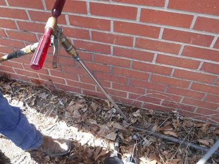 BUGBUSTERS IN ACTION - 1