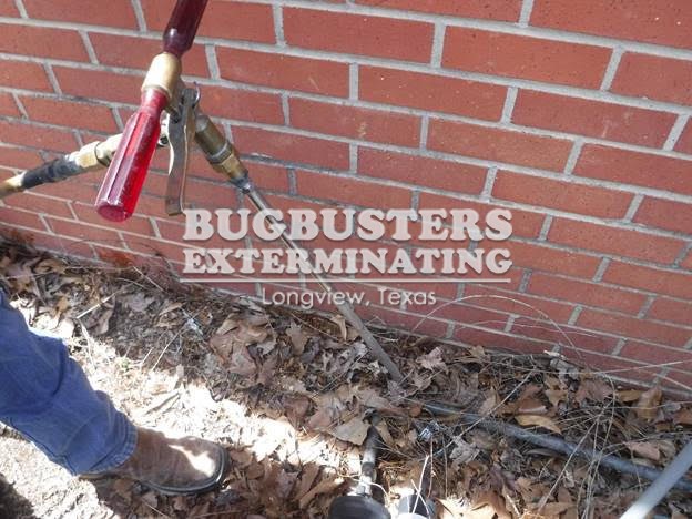 BUGBUSTERS IN ACTION - 1