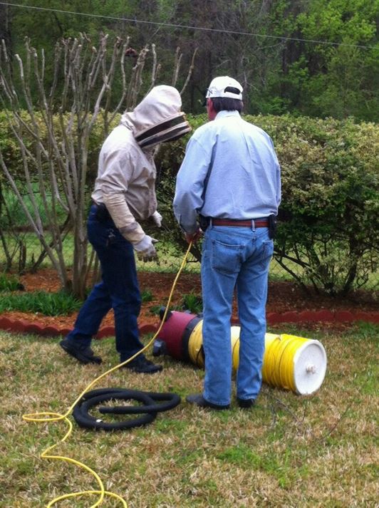 "BUGBUSTERS IN ACTION"