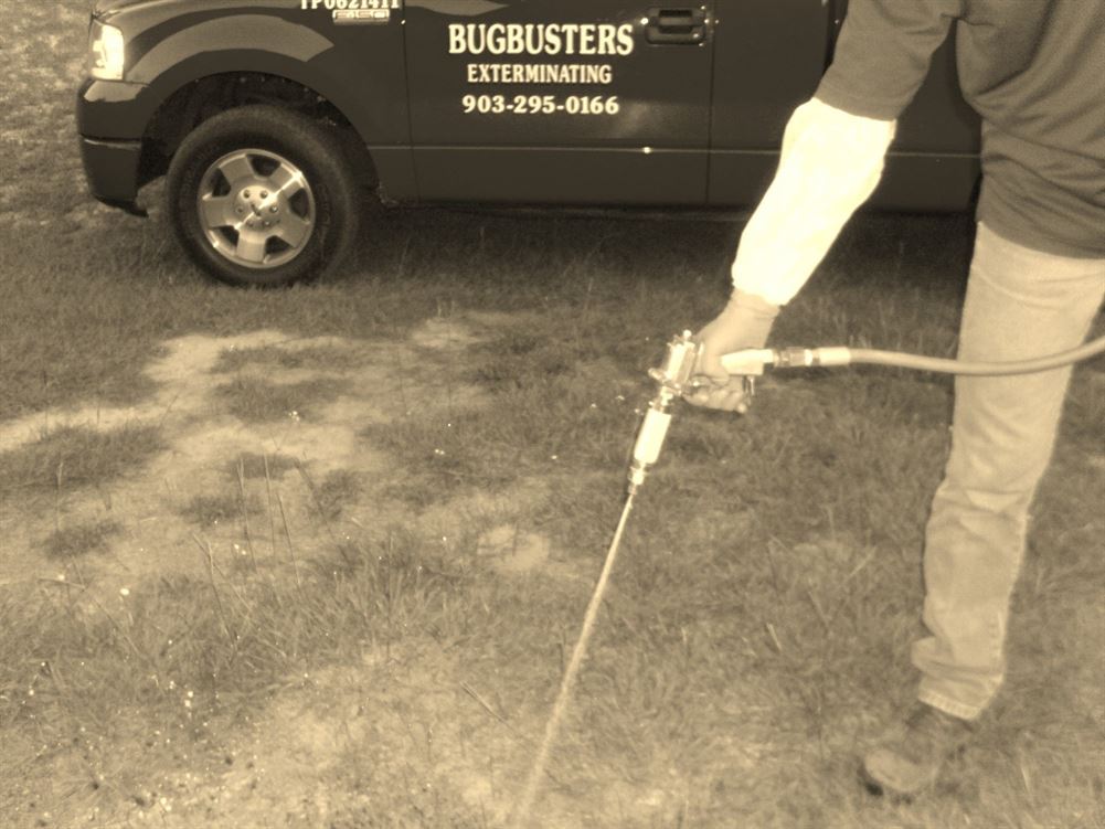"BUGBUSTERS IN ACTION"