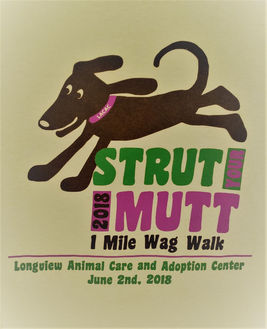 "BUGBUSTERS IN ACTION"