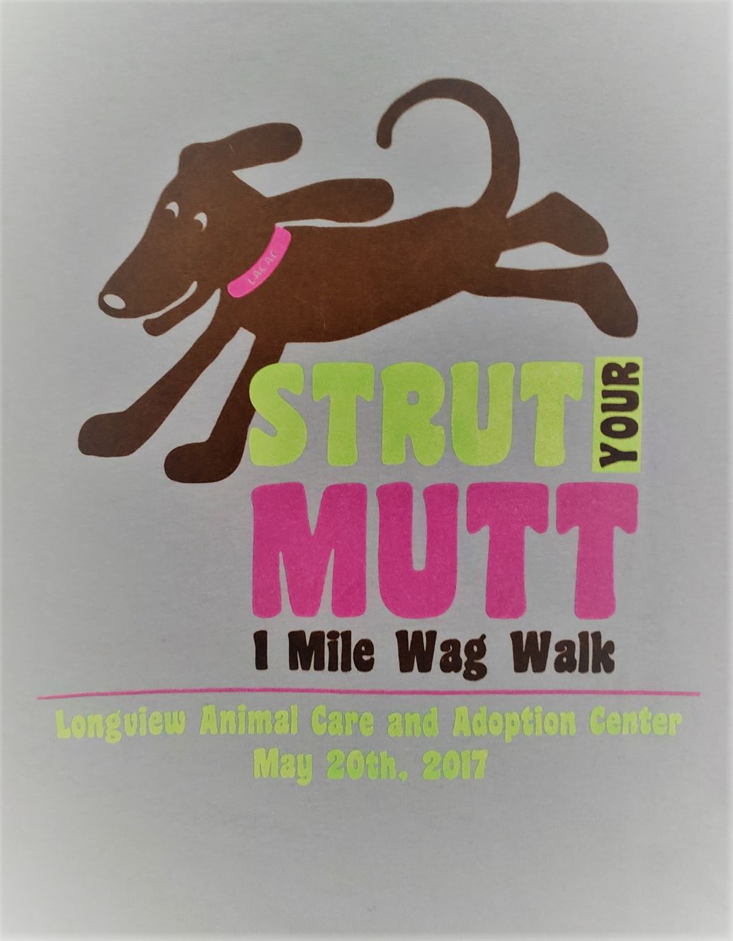 "BUGBUSTERS IN ACTION"