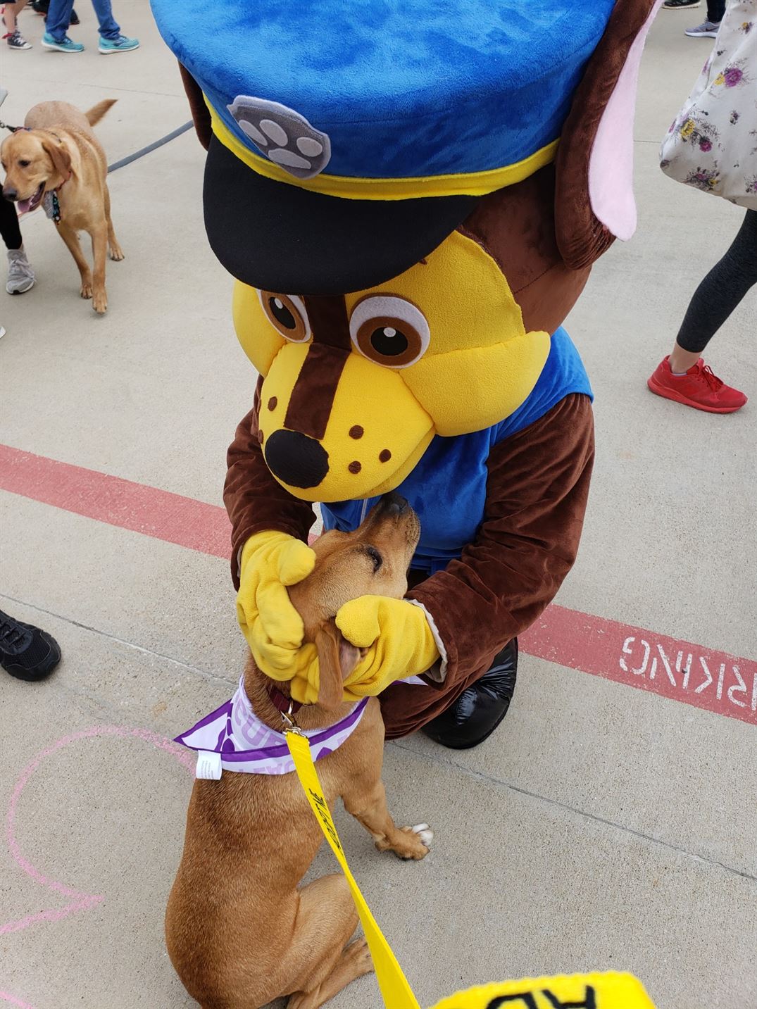 "BUGBUSTERS IN ACTION"