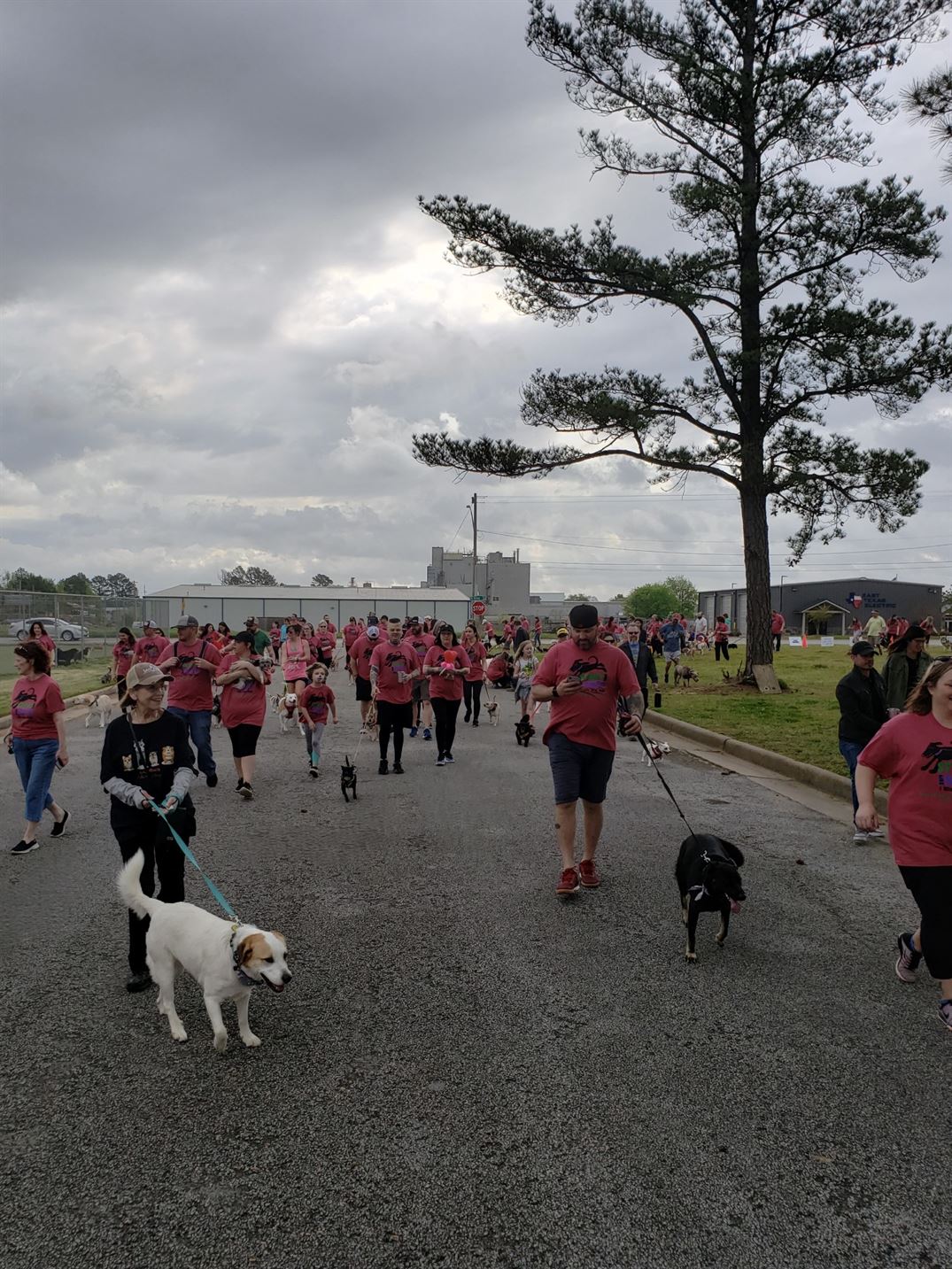 "BUGBUSTERS IN ACTION"