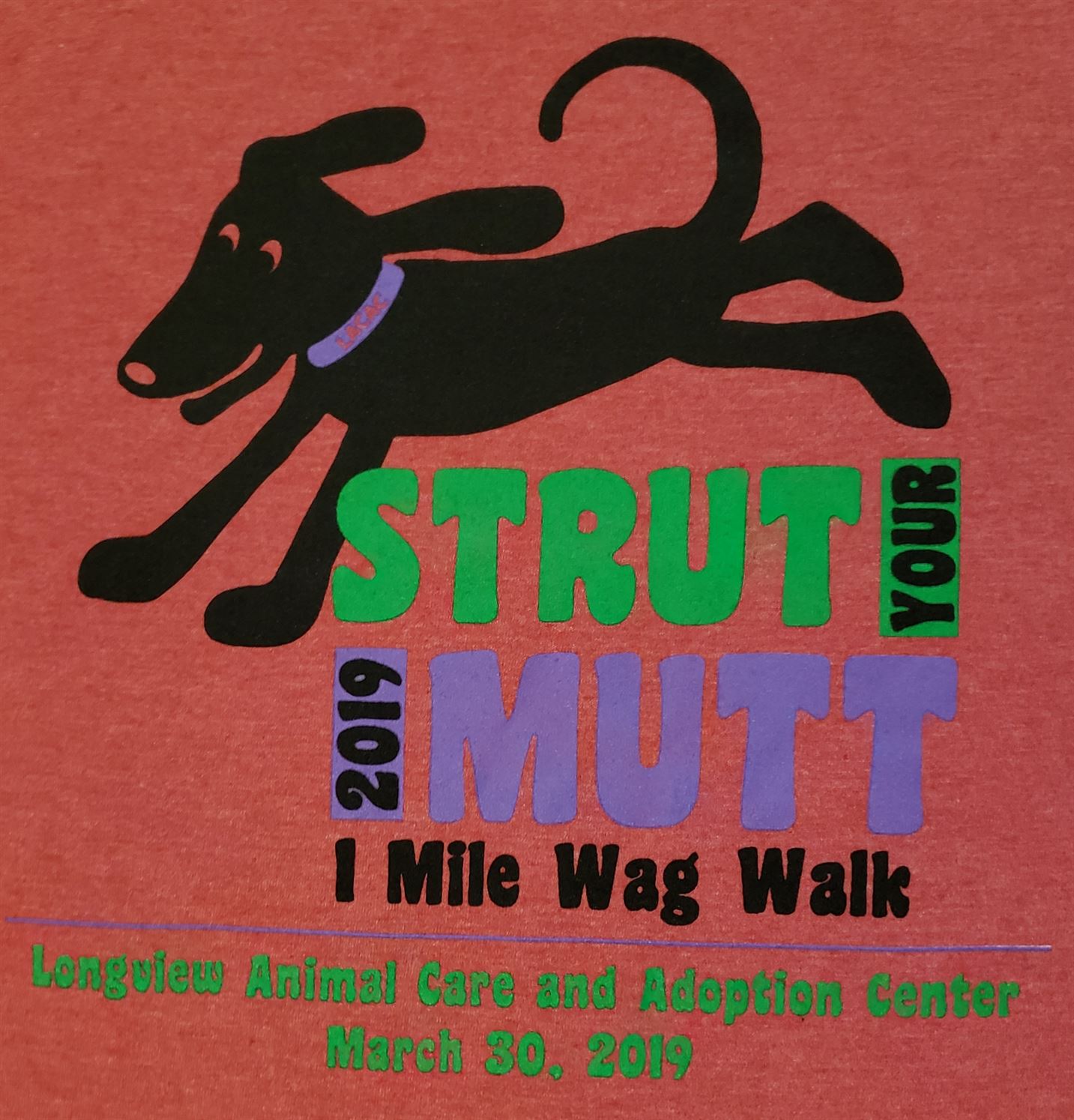 "BUGBUSTERS IN ACTION"