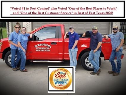 "BEST OF EAST TEXAS 2020"