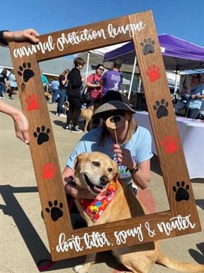 STRUT YOUR MUTT 2022