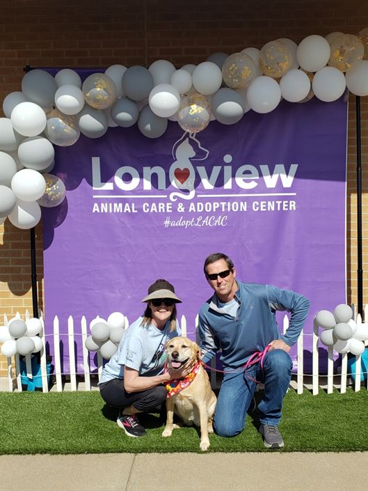 STRUT YOUR MUTT 2022