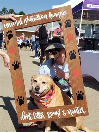 STRUT YOUR MUTT 2022