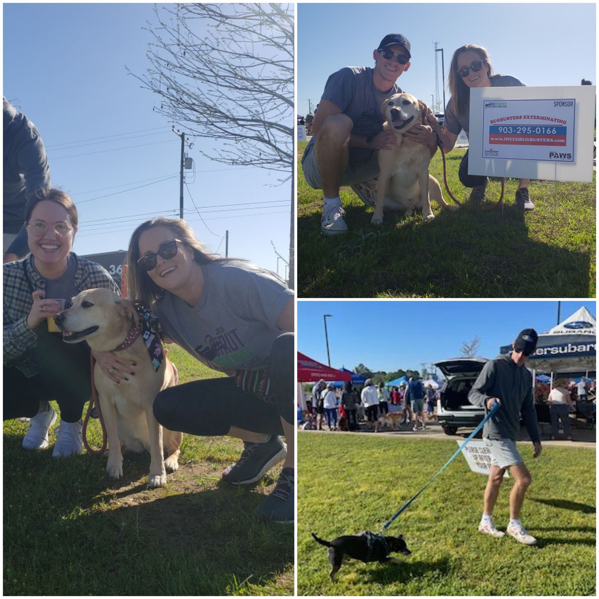 COMMUNITY INVOLVEMENT