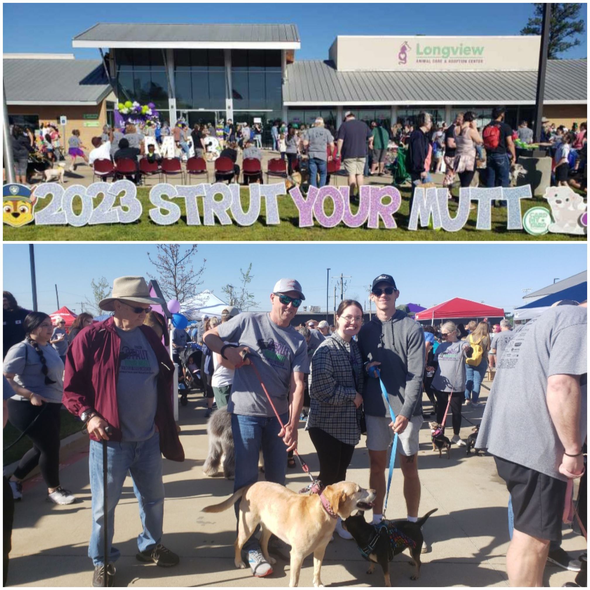 COMMUNITY INVOLVEMENT