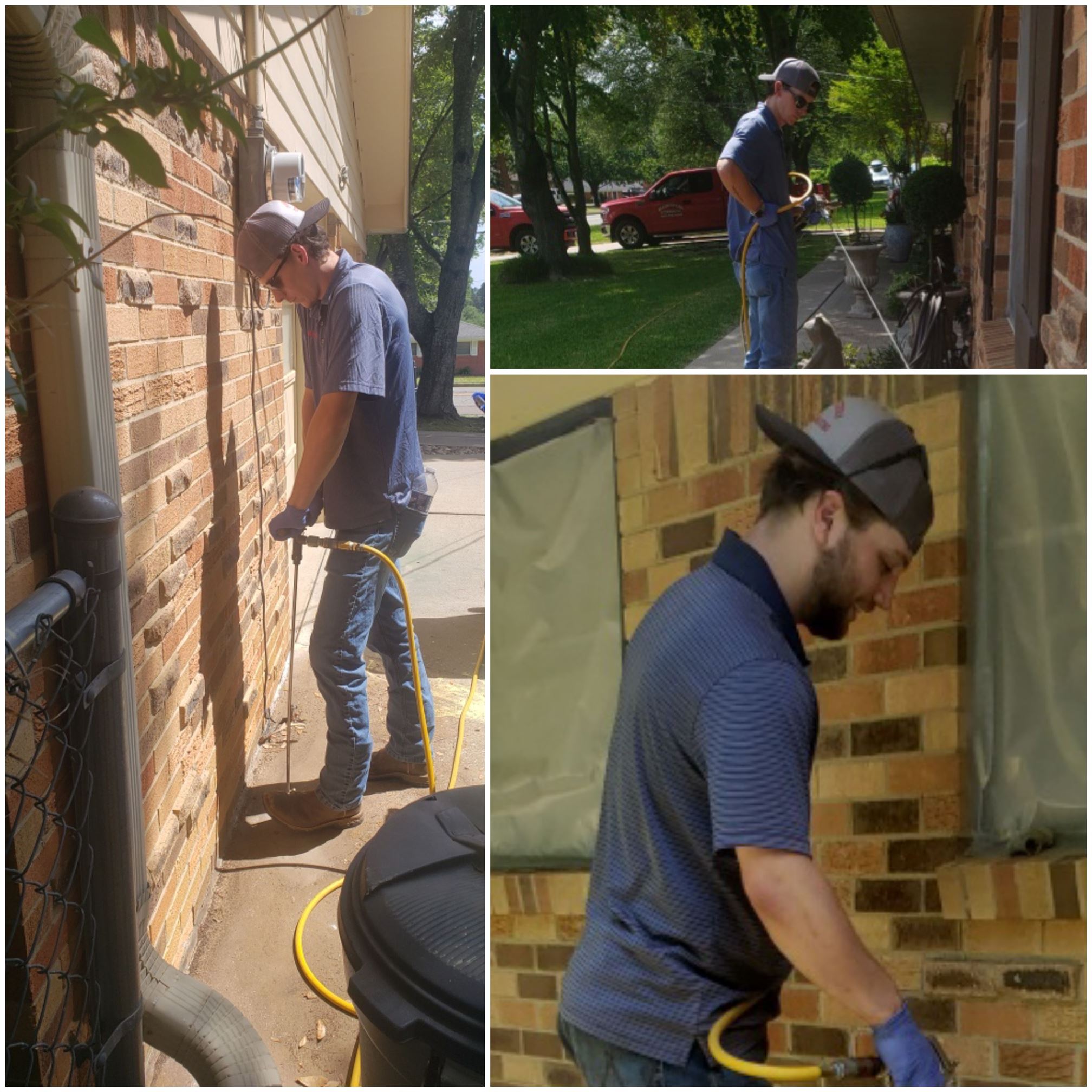 TERMITE TREATMENT