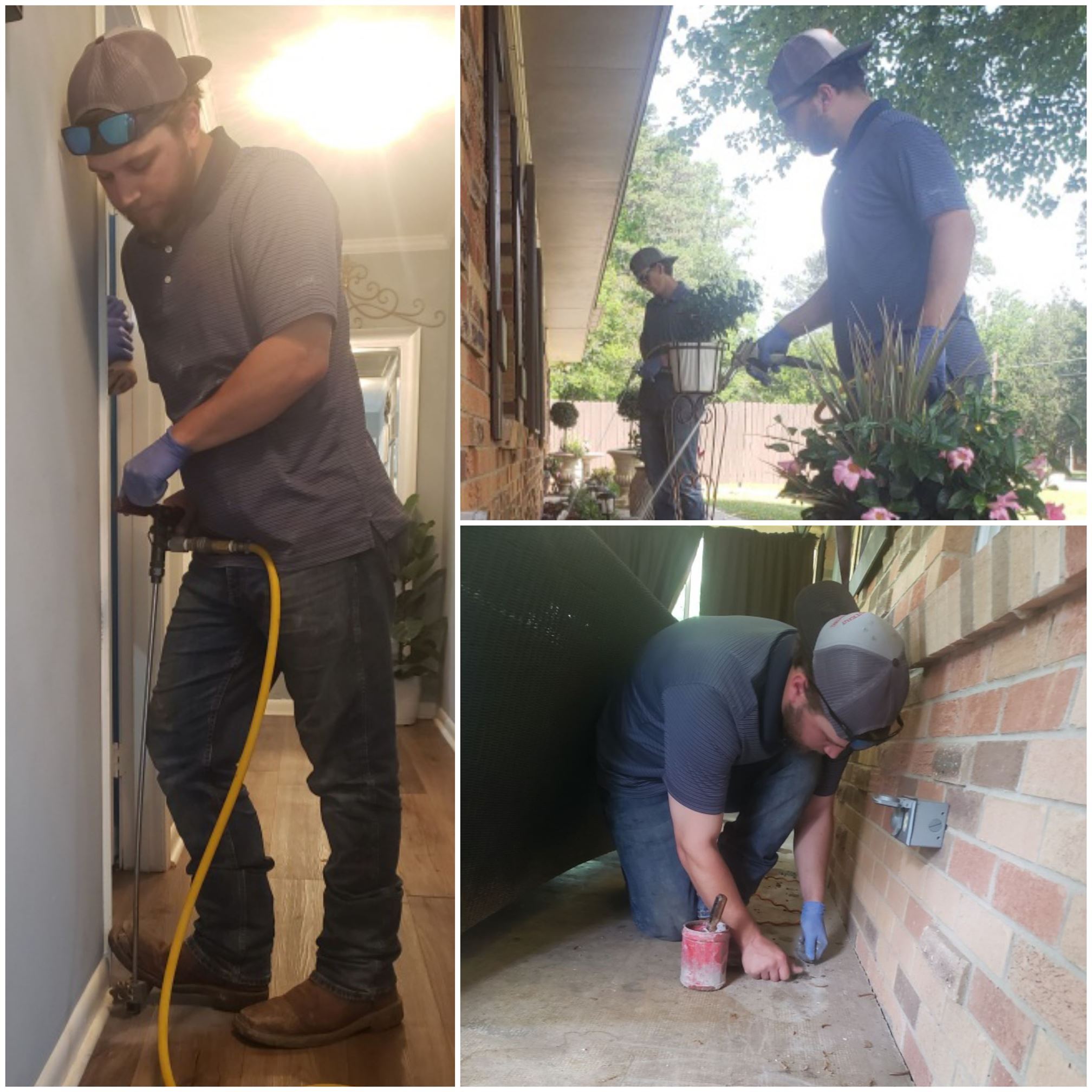 TERMITE TREATMENT