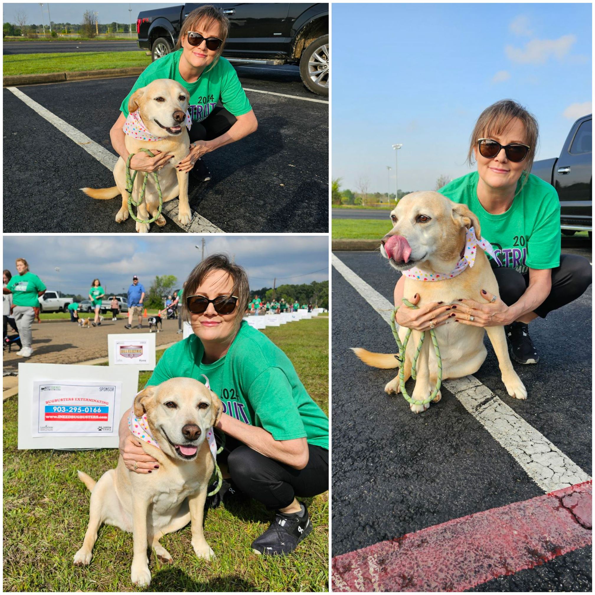 "STRUT YOUR MUTT 2024" 