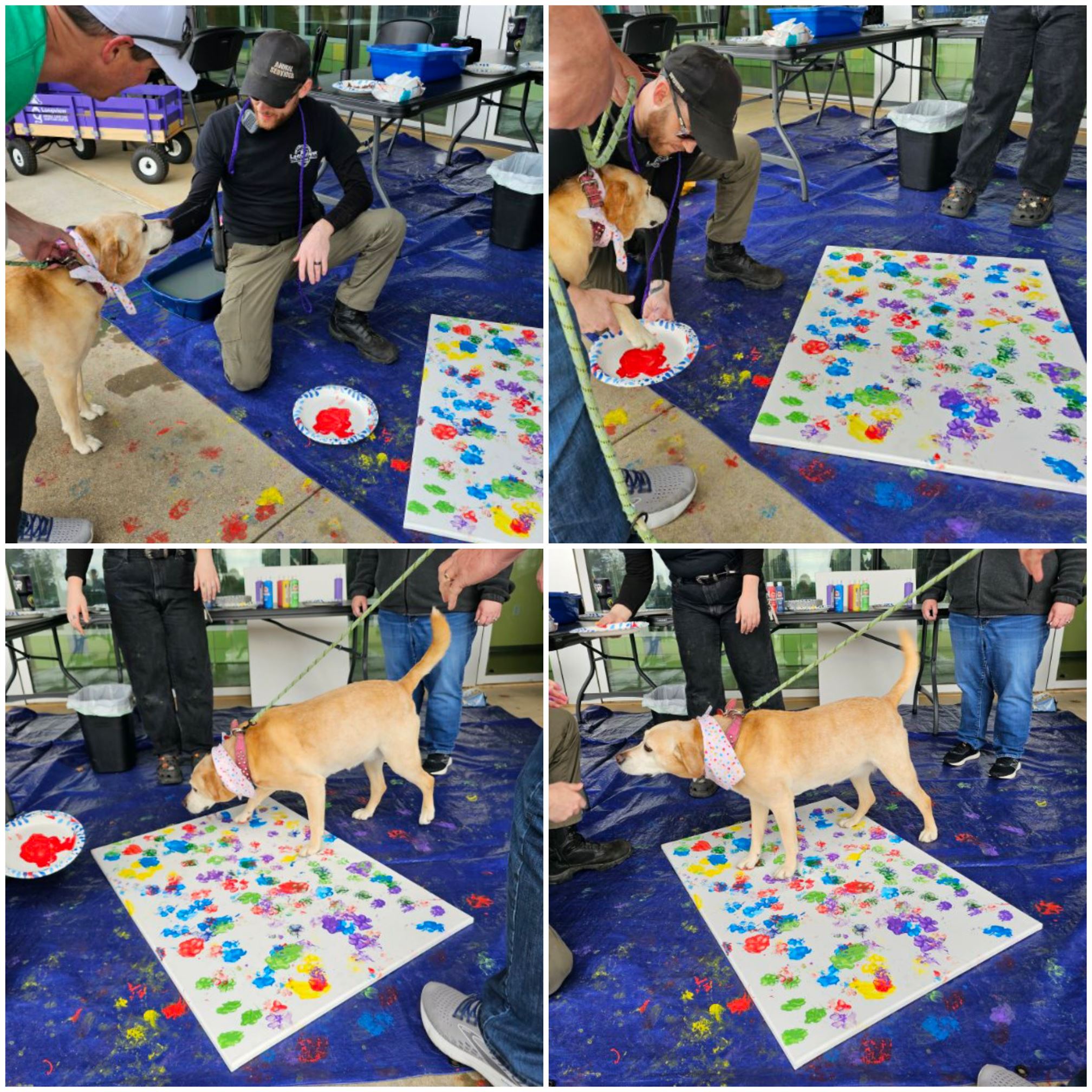 "STRUT YOUR MUTT 2024"