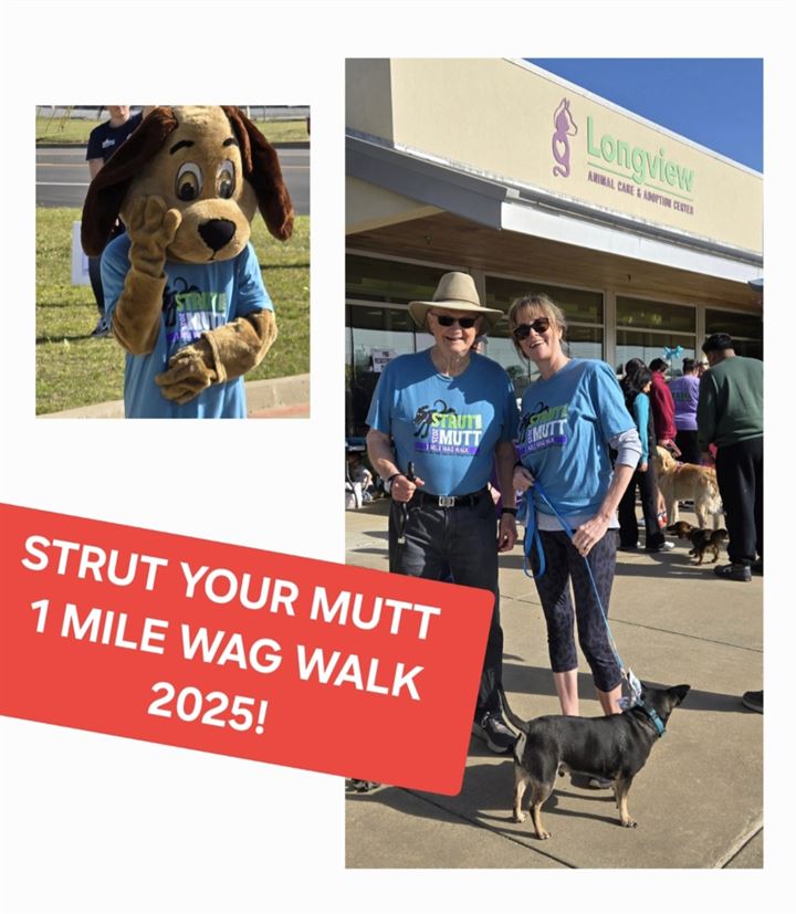 "STRUT YOUR MUTT 2025"