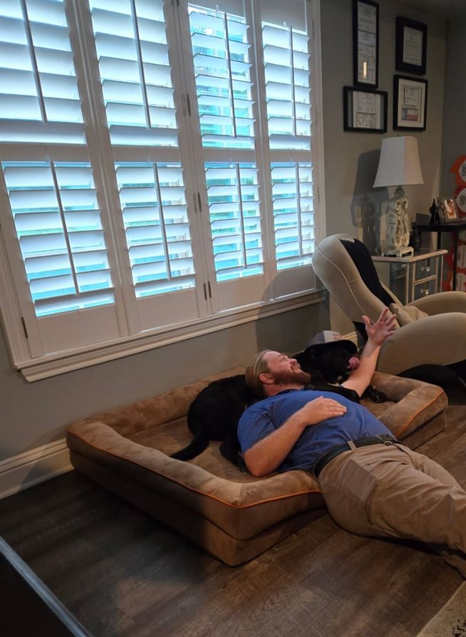 "FUR BABIES IN WORK SPACES"