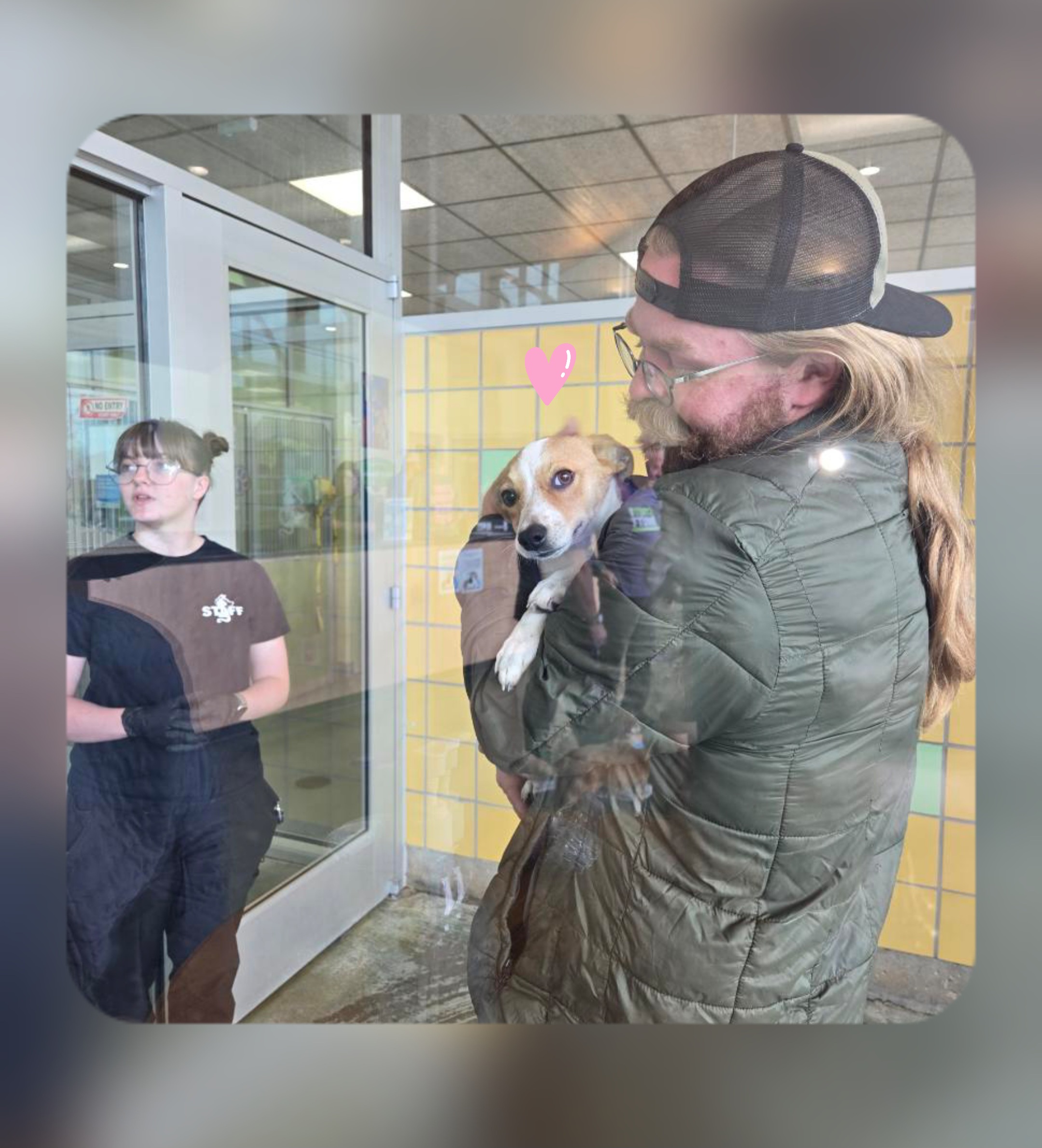 "STRUT YOUR MUTT 2026"